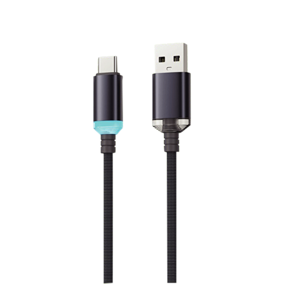 RABA LD10 USB to Type-C Fast Cable
